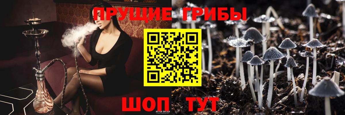 Кизилюрт  Галлюциногенные грибы мухоморы  Вход с VPN  дарнет шоп  Псилоцибиновые грибы GOLDEN TEACHER 